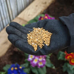 Miracle-Gro All Purpose Continuous Release Plant Food 2L -Ketler Outdoors Shop 119950 furtherimage 1 88990.1662993467