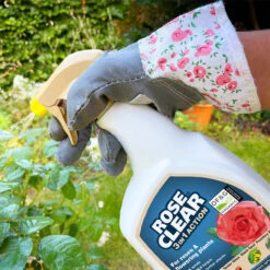 RoseClear 3-in-1 Action Insect Spray 800ml -Ketler Outdoors Shop 119980 furtherimage 2 1 48967.1662993468