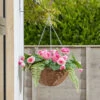 Smart Garden Easy Basket - Pink Perfection -Ketler Outdoors Shop 4432186 5611003 2 3 560 25305.1665133280