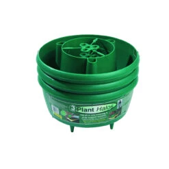 Plant Halos Green (Set Of 3)