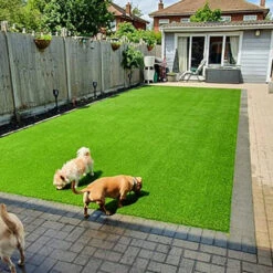 Easigrass - Belgravia M2 -Ketler Outdoors Shop belgravia 2 00070.1662993687