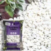 Coral White Pebbles -Ketler Outdoors Shop coral white pebbles 59444.1681725149