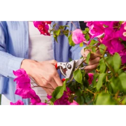 FELCO Model 14 Secateurs - Small RH -Ketler Outdoors Shop felco 14 3 1 23684.1662993473