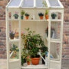 Forest Victorian Tall Wall Greenhouse -Ketler Outdoors Shop lanfen1858 3 02743.1665133367