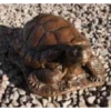 Border Stoneware Large Tortoise -Ketler Outdoors Shop new project 1010 69092.1665133549