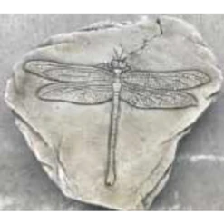 Border Stoneware Fossilized Dragonfly