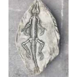 Border Stoneware Fossilized Crocodile