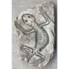 Border Stoneware Fossilized Lizard -Ketler Outdoors Shop new project 1039 89322.1665133545