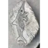 Border Stoneware Fossilized Fish -Ketler Outdoors Shop new project 1040 79868.1665133546