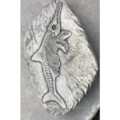 Border Stoneware Fossilized Fish