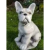 Border Stoneware French Bulldog Puppy -Ketler Outdoors Shop new project 1097 66409.1665133551