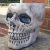 Border Stoneware Skull Planter -Ketler Outdoors Shop new project 1141 63594.1665133553