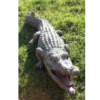 Border Stoneware Crocodile -Ketler Outdoors Shop new project 1155 35849.1665133554