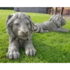 Border Stoneware Large Laying Lion Right -Ketler Outdoors Shop new project 727 2 08846.1665133563