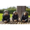 Border Stoneware See/Hear/Speak Monkeys -Ketler Outdoors Shop new project 786 85196.1665133560