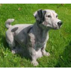 Border Stoneware Jack Russell