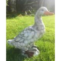 Border Stoneware Teal Duck