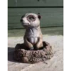 Border Stoneware Baby Meerkat -Ketler Outdoors Shop new project 987 94879.1665133548