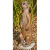 Border Stoneware Medium Meerkat -Ketler Outdoors Shop new project 990 90248.1665133548