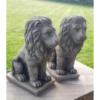 Border Stoneware Small Sitting Lions -Ketler Outdoors Shop new project 992 91226.1665133549