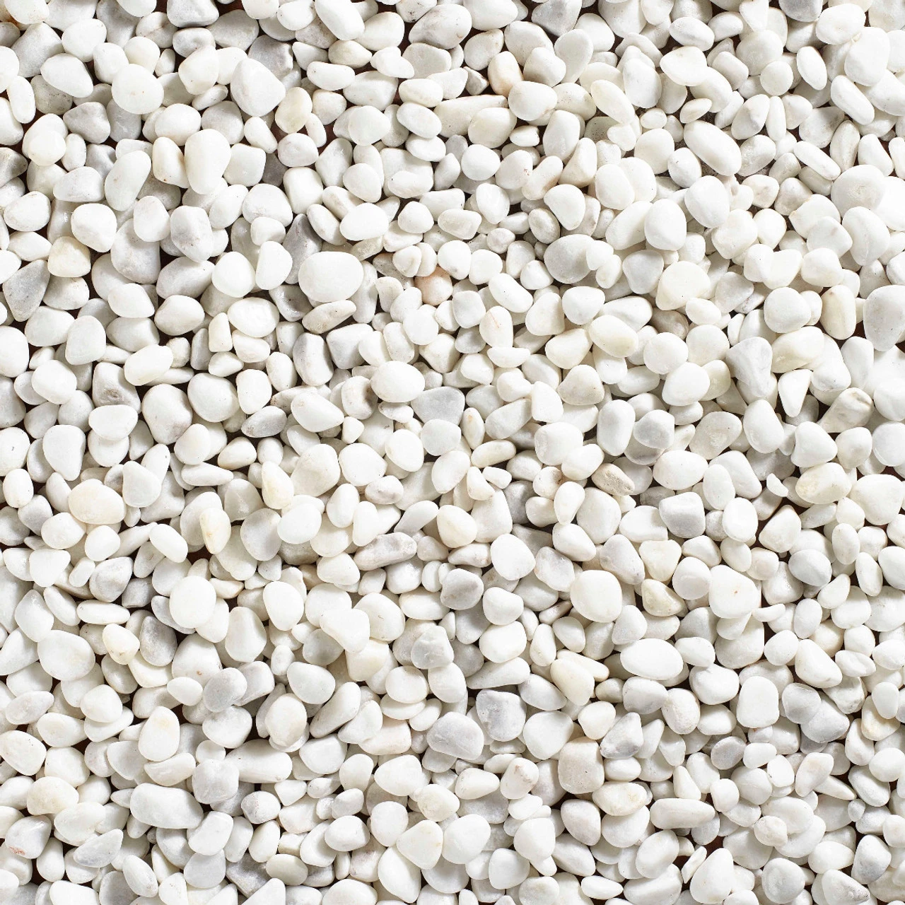 Coral White Pebbles - Image 5