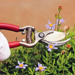 Kent & Stowe Traditional Bypass Secateurs -Ketler Outdoors Shop s l1602 1 1 57775.1662992869