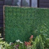 Smart Garden Boxwood Screening Panel -Ketler Outdoors Shop screenpanel 20360.1665133279