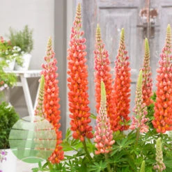 Terracotta 13cm Pot -Ketler Outdoors Shop terracotta 2 2 38185.1662993436