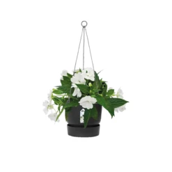Elho® Greenville Hanging Basket 24cm Black -Ketler Outdoors Shop untitled 3 25 87916.1662993360
